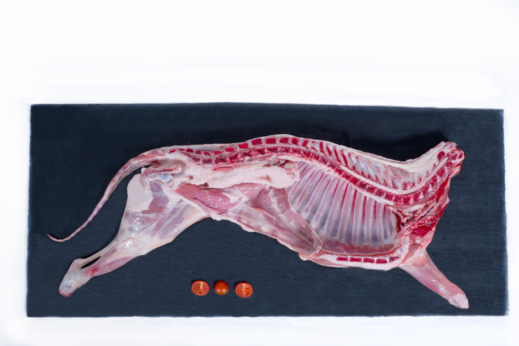 CORDERO LECHAL DE SEGOVIA POR MEDIOS O ENTEROS PRECIO Kg SEGUN MERCADO PREGUNTAR EN TIENDA